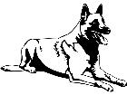  Dogs Belgian Malinois 0 2 D R P A 1 Decal