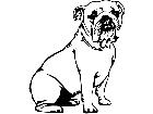  Dogs Bulldog D R P A 1 Decal