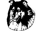  Dogs Collie Head D R P A 1 Decal