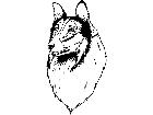  Dogs Collie T G P A 1 Decal