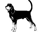  Dogs Coon Hound 1 3 7 V A 1 Decal