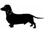  Dogs Dachshund 1 3 6 V A 1 Decal