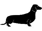  Dogs Dachshund P A 1 Decal