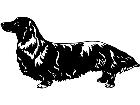 Dogs Dascshund Longhair 1 3 7 V A 1 Decal