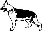  Dogs German Shepherd 1 3 6 V A 1 Decal