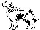  Dogs Golden Retriever 1 3 7 V A 1 Decal