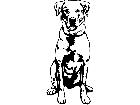 Dogs Labrador 0 2 D R P A 1 Decal