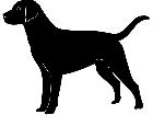  Dogs Labrador Retriever 1 3 6 V A 1 Decal