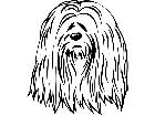  Dogs Lhasa Apso P A 1 Decal