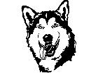  Dogs Malamute 0 1 P A 1 Decal