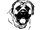  Dogs Mastiff P A 1 Decal