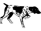  Dogs Pointer 1 3 6 V A 1 Decal