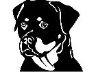  Dogs Rottweiler 0 1 D R P A 1 Decal