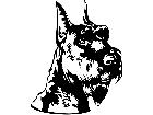  Dogs Schnauzer Head D R P A 1 Decal