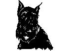  Dogs Scottish Terrier 0 1 P A 1 Decal