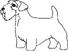  Dogs Sealyham Terrier 1 3 7 V A 1 Decal