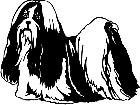  Dogs Shih Tsu 1 3 6 V A 1 Decal