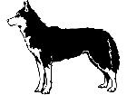  Dogs Siberian Husky 0 1 P A 1 Decal