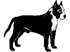  Dogs Staffordshire Bull Terrier 1 3 7 V A 1 Decal