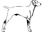  Dogs Weimaraner 1 3 7 V A 1 Decal