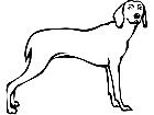  Dogs Weimaraner P A 1 Decal