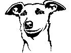  Dogs Whippet P A 1 Decal
