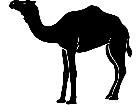  Domestic Animals Camel P A 1 Decal