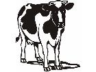  Domestic Animals Cow 0 1 P A 1 Decal