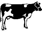  Domestic Animals Cow 0 2 P A 1 Decal