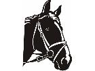  Domestic Animals Horse 0 1 P A 1 Decal
