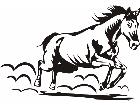  Domestic Animals Horse 0 2 D R P A 1 Decal