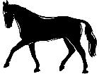  Domestic Animals Horse 0 2 P A 1 Decal
