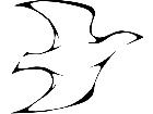  Dove Lines Decal