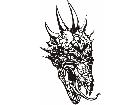  Dragons Fx 0 8 5 Decal