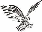  Eagle Bald Coming Down Lines Decal