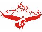  Eagle Body Flaming 0 0 E F 1 Decal