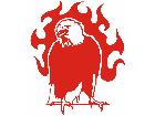  Eagle Body Flaming 0 4 E F 1 Decal