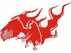  Eagle Body Flaming 0 8 E F 1 Decal