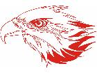  Eagle Flame Head 2 1 E F 1 Decal