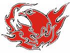  Eagle Flame Multi 0 6 E F 1 C L 1 Decal