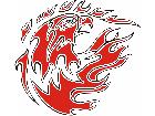  Eagle Flame Multi 0 8 E F 1 C L 1 Decal