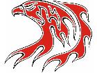  Eagle Flame Multi 1 0 E F 1 C L 1 Decal