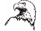  Eagle Head 4 Decal