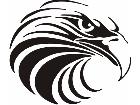  Eagle Head 7 Decal