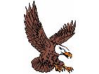  Eagle Pride C L 2 Decal