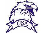  Eagle U S A 1 Decal