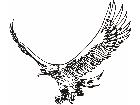  Eagle 0 0 E F 1 Decal