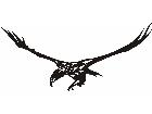  Eagle 0 7 E F 1 Decal