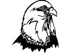  Eagle 1 3 8 V A 1 Decal