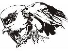  Eagles Unique 0 0 7 Decal